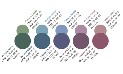 Sample brand palette with colour specifications